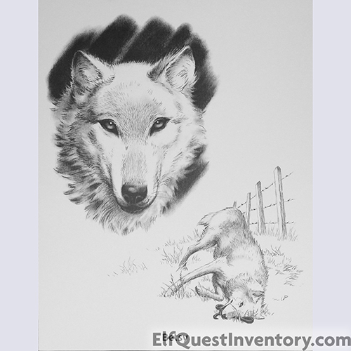 Wolves of Wolf Park