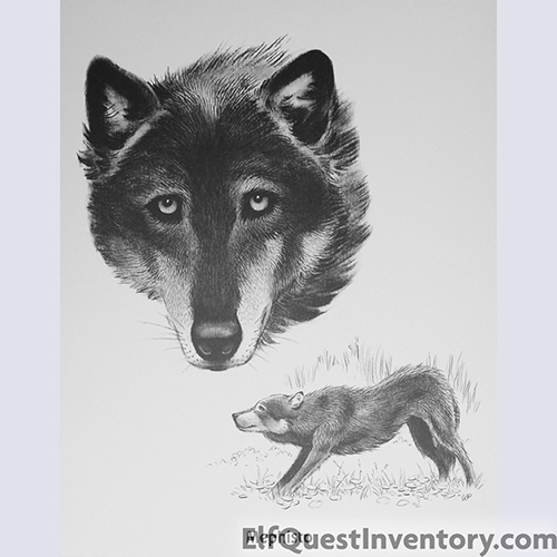 Wolves of Wolf Park