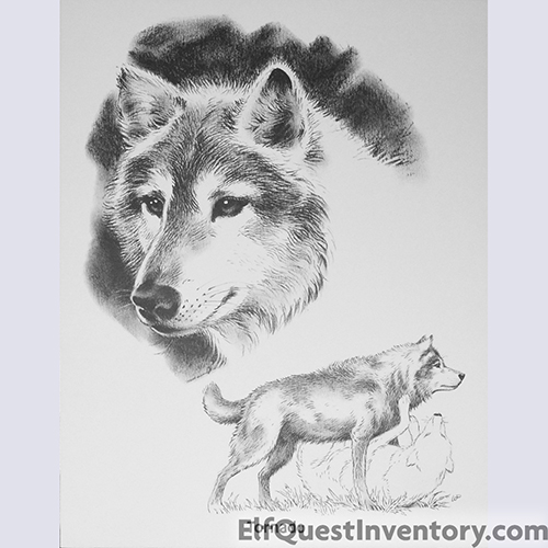 Wolves of Wolf Park