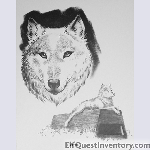 Wolves of Wolf Park