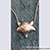 Bearclaw's necklace