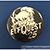 Elfquest 25 Years Anniversary Pin