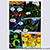 Shards Original Page