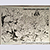 Shards Original Pages