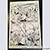 Shards original page