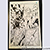 Shards original page