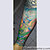 Petalwing Tattoo